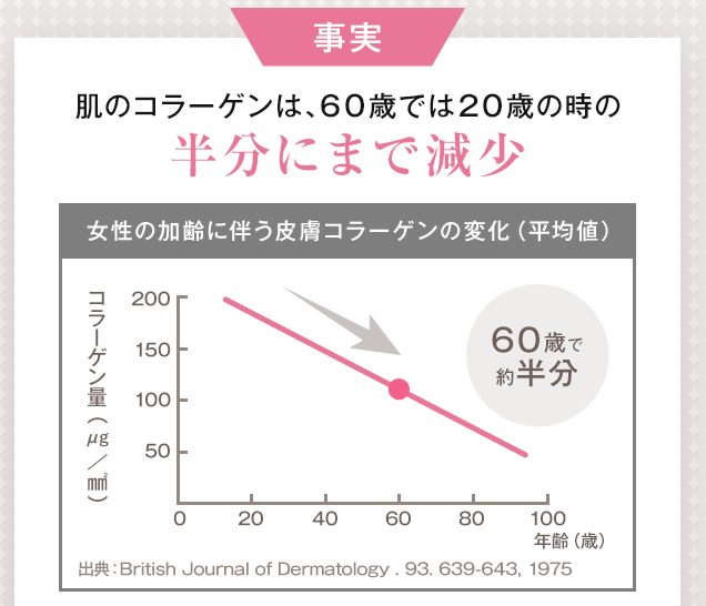 コラーゲン量の減少